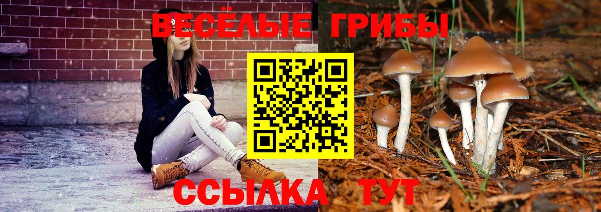 цена наркотик  Вход с VPN  Заинск  Галлюциногенные грибы прущие грибы 
