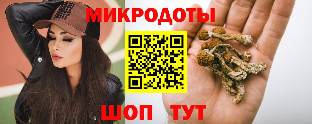Псилоцибиновые грибы Psilocybe Заинск